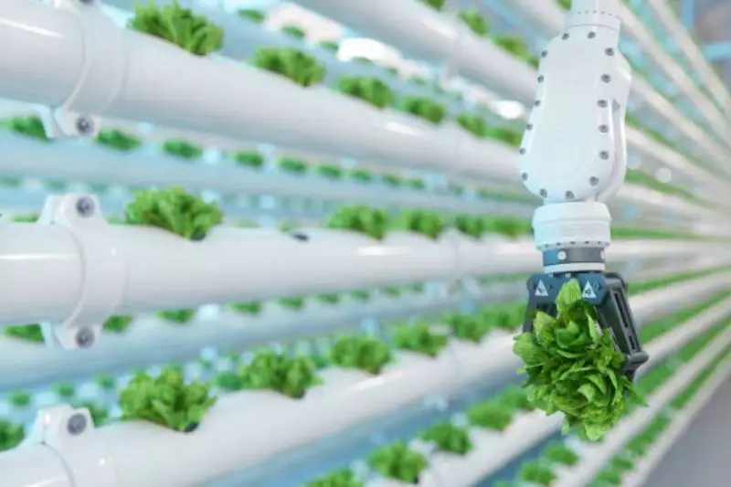 Sekilas Tentang Urban Farming Moderen